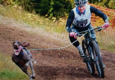 Spring, cykla med din hund.